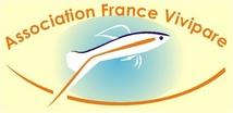 file:///home/martine/Desktop/logofi10.jpg